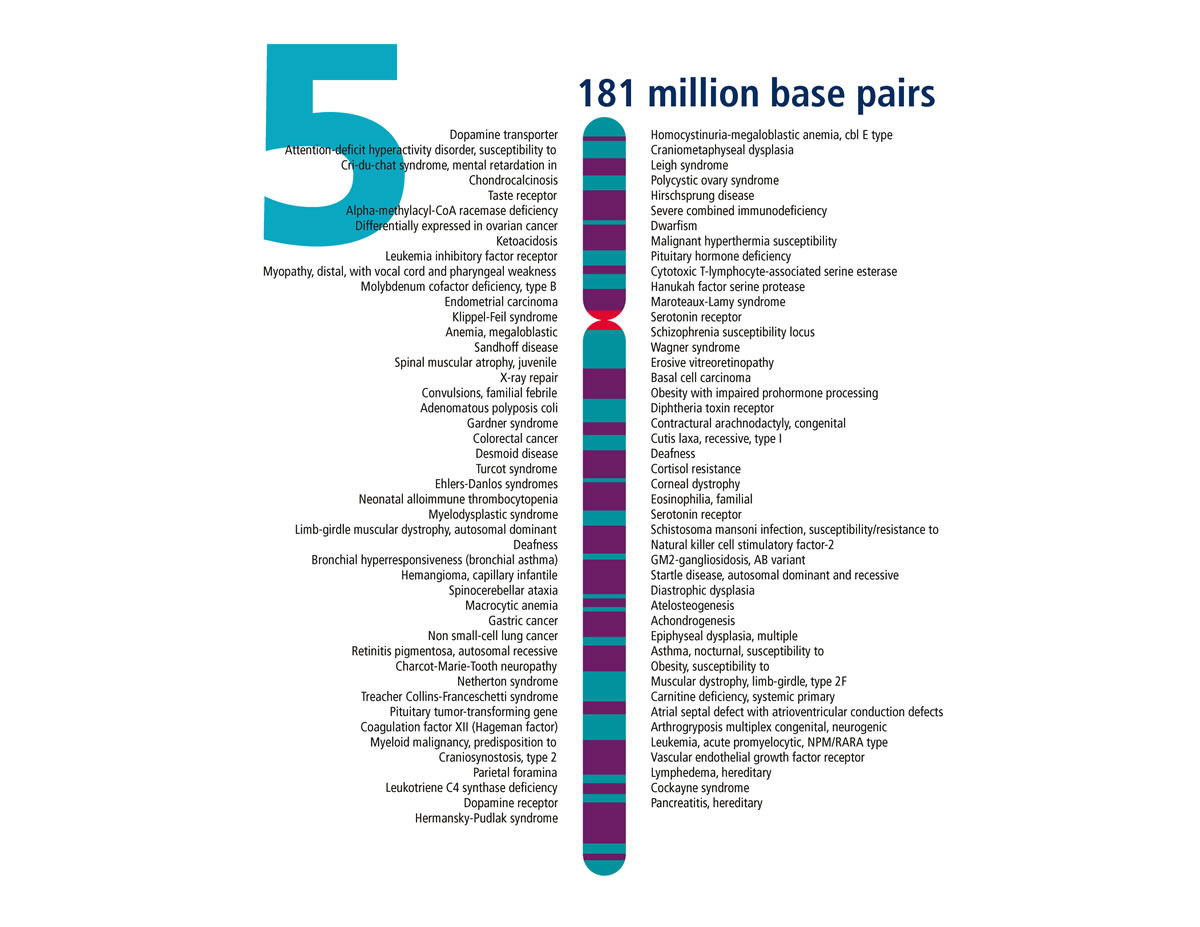 Chromosome 5 | Human Genome Project